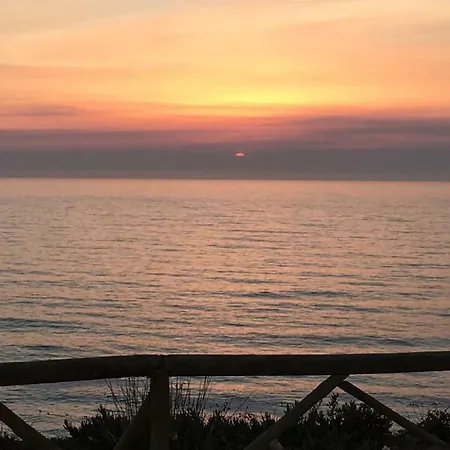 Zen Sao Pedro da Cadeira